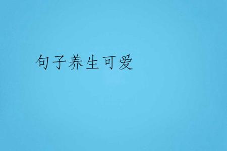 句子养生可爱