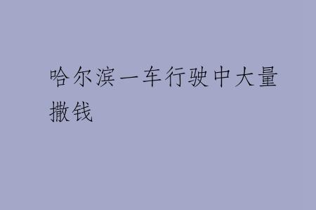 哈尔滨一车行驶中大量撒钱