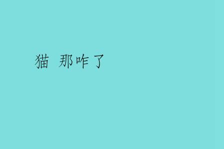 猫 那咋了