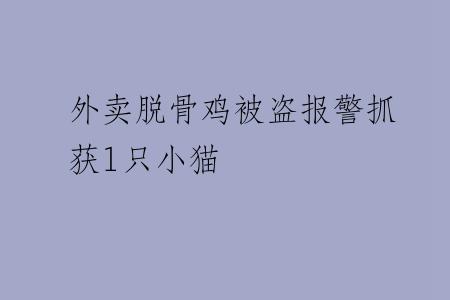 外卖脱骨鸡被盗报警抓获1只小猫
