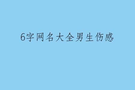 6字网名大全男生伤感