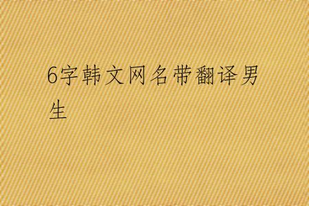6字韩文网名带翻译男生