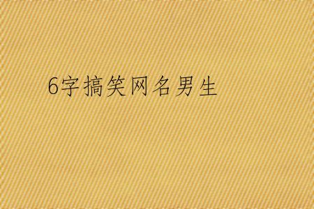 6字搞笑网名男生