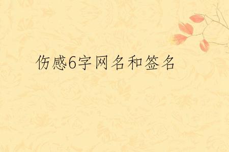 伤感6字网名和签名