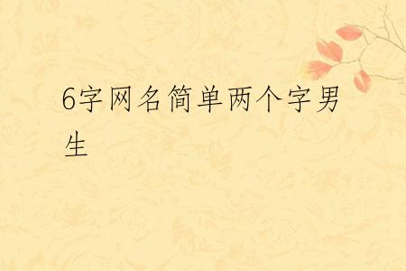 6字网名简单两个字男生