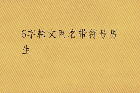 6字韩文网名带符号男生
