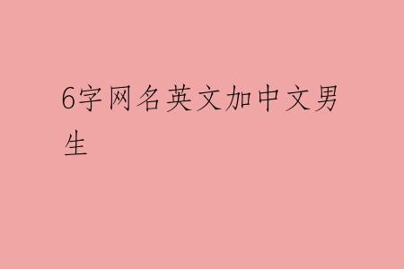6字网名英文加中文男生