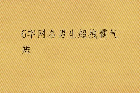 6字网名男生超拽霸气短