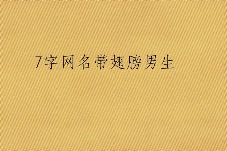 7字网名带翅膀男生