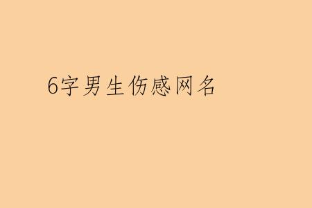 6字男生伤感网名