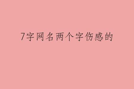 7字网名两个字伤感的