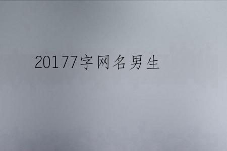 20177字网名男生