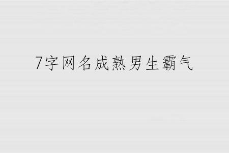 7字网名成熟男生霸气