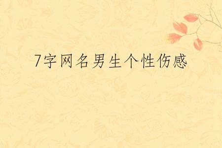 7字网名男生个性伤感