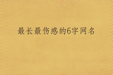 最长最伤感的6字网名