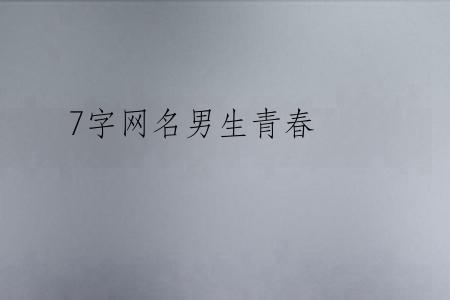 7字网名男生青春