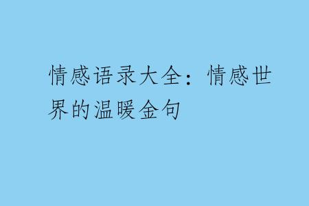 情感语录大全：情感世界的温暖金句