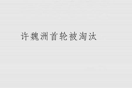 许魏洲首轮被淘汰