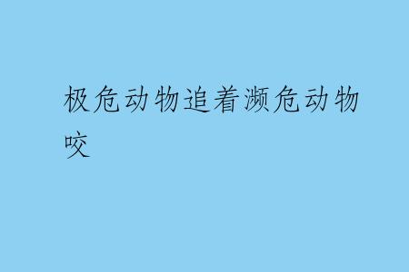 极危动物追着濒危动物咬