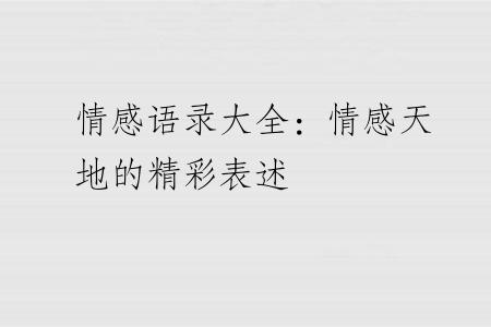 情感语录大全：情感天地的精彩表述