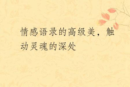情感语录的高级美，触动灵魂的深处