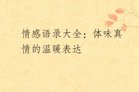 情感语录大全：体味真情的温暖表达