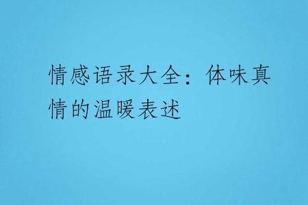 情感语录大全：体味真情的温暖表述