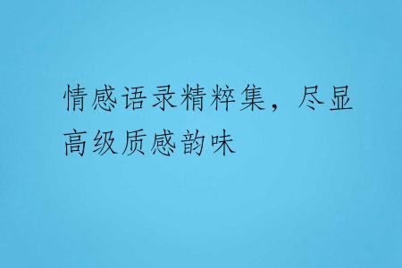 情感语录精粹集，尽显高级质感韵味
