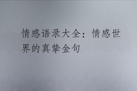 情感语录大全：情感世界的真挚金句