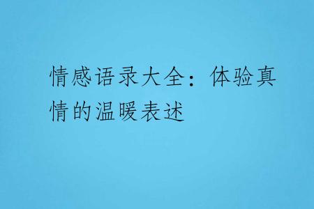 情感语录大全：体验真情的温暖表述