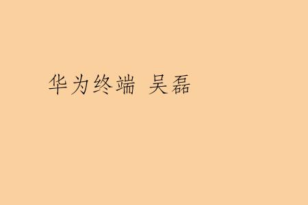 华为终端 吴磊