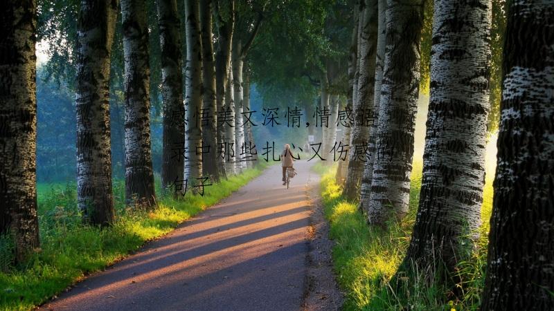 感悟美文深情,情感语录中那些扎心又伤感的句子