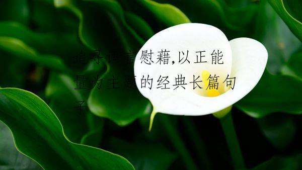 追寻语言慰藉,以正能量为主题的经典长篇句子