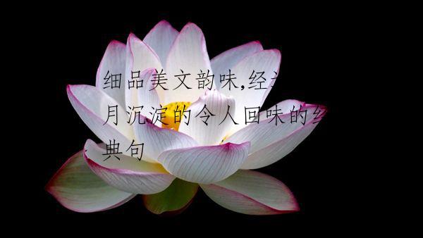 细品美文韵味,经过岁月沉淀的令人回味的经典句