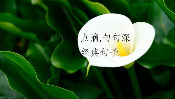 串联语言点滴,句句深入人心的经典句子