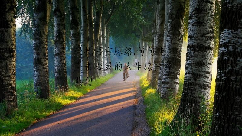 轻抚语言脉络,句句能直击心灵的人生感悟经典句