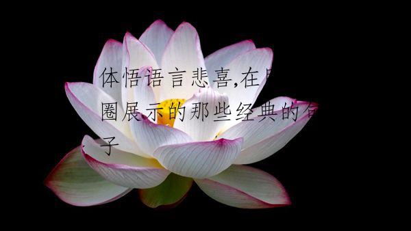 体悟语言悲喜,在朋友圈展示的那些经典的句子