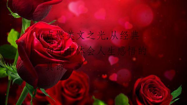 点燃美文之光,从经典句子中体会人生感悟的真谛