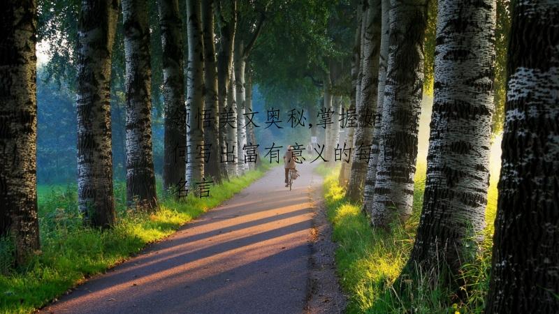 领悟美文奥秘,掌握如何写出富有意义的每日名言