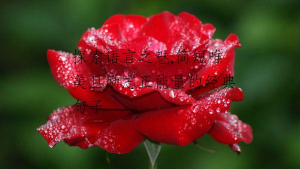 探索语言之魅,简短唯美且励志正能量的经典句子