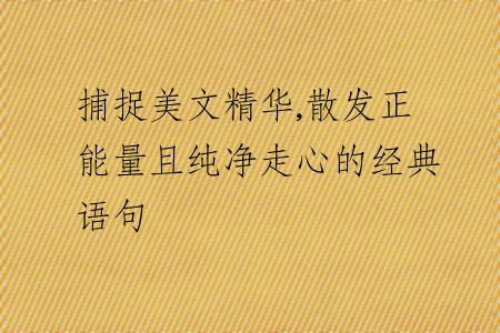 捕捉美文精华,散发正能量且纯净走心的经典语句