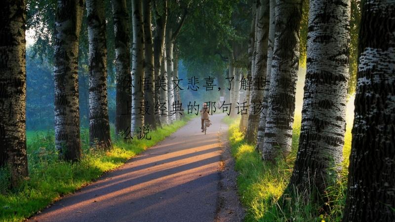 体悟美文悲喜,了解世上最经典的那句话该怎么说