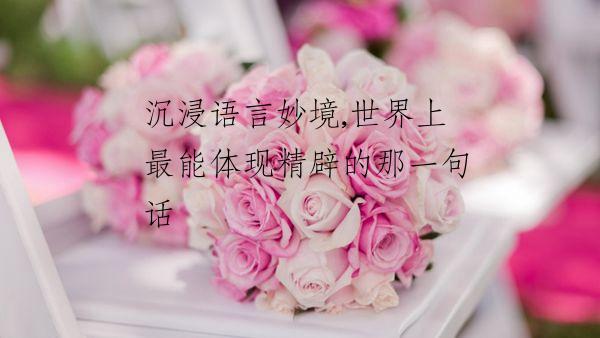 沉浸语言妙境,世界上最能体现精辟的那一句话