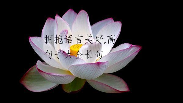 拥抱语言美好,高情商句子大全长句
