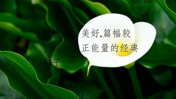 拥抱语言美好,篇幅较长且充满正能量的经典句子