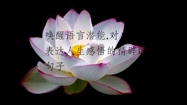 唤醒语言潜能,对自己表达人生感悟的精辟的句子